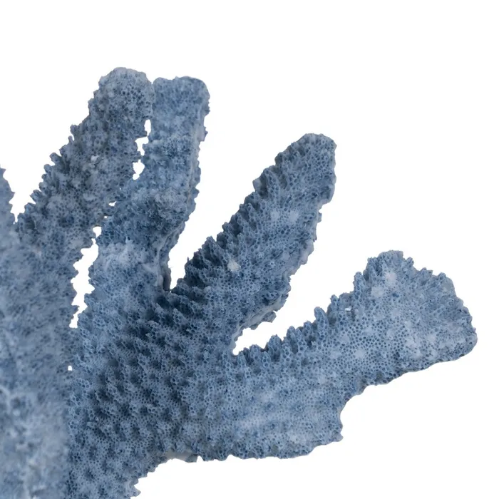 Coral decorativ rasina albastra premium|Decoratiuni marine rafinate [2]