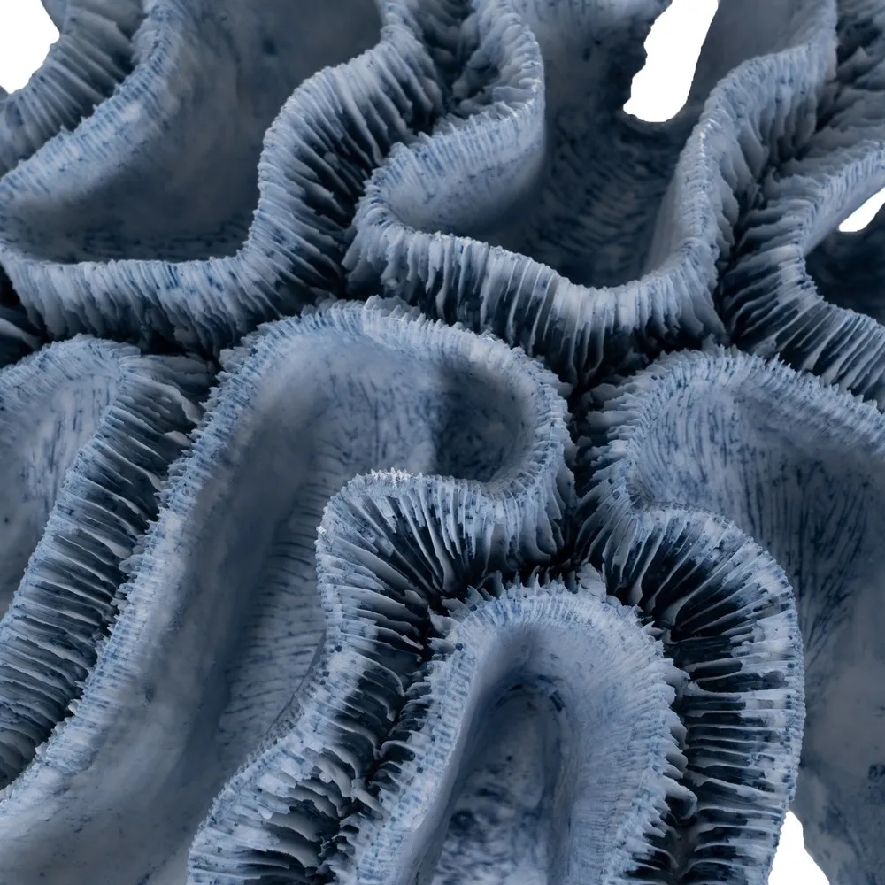Figurina coral albastra rasina|Decoratiuni marine naturale [3]