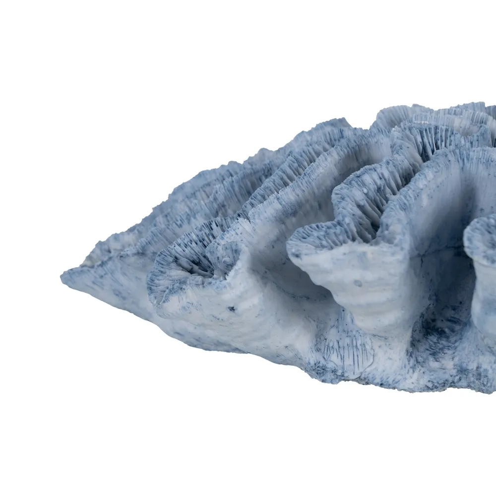 Figurina coral albastra rasina|Decoratiuni marine naturale [2]