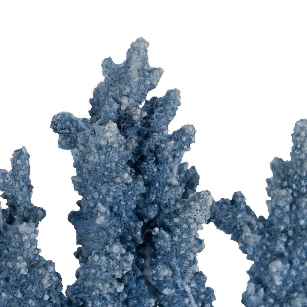 Coral decorativ rasina albastra|Decoratiuni marine tematice [3]