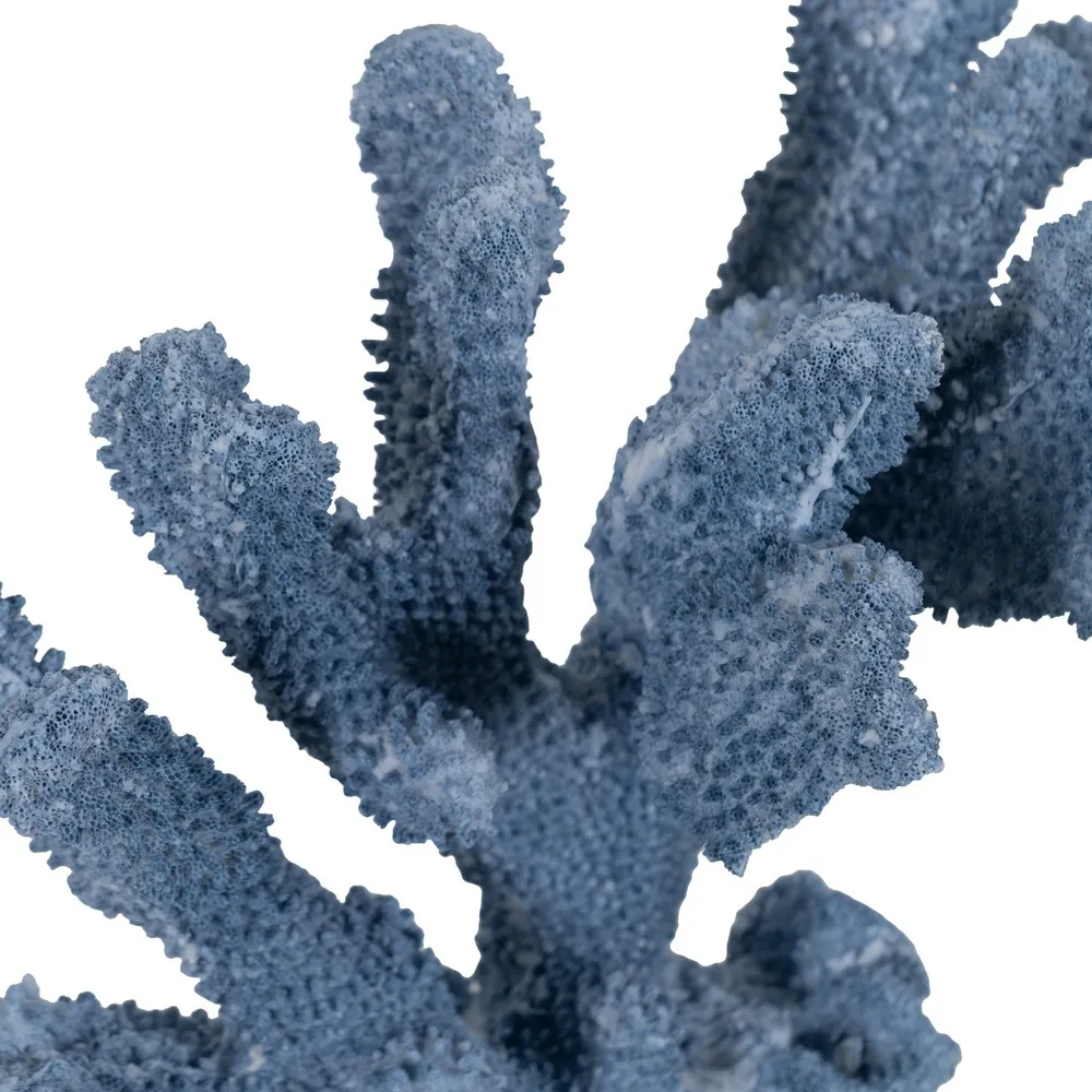 Coral decorativ mare rasina albastra|Decoratiuni marine elegante [3]