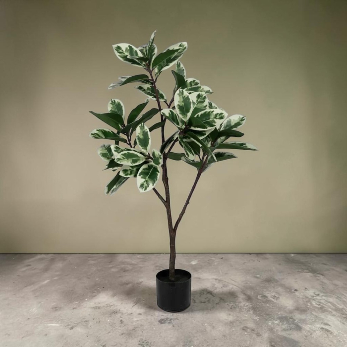 Ficus artificial bicolor | Plante artificiale pentru spatii de birou [2]