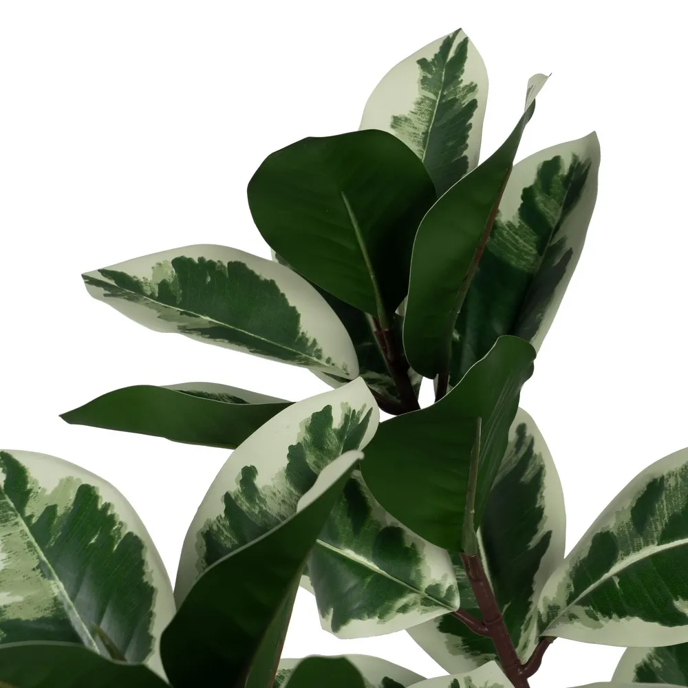 Ficus artificial inalt | Plante decorative pentru spatii ample [2]