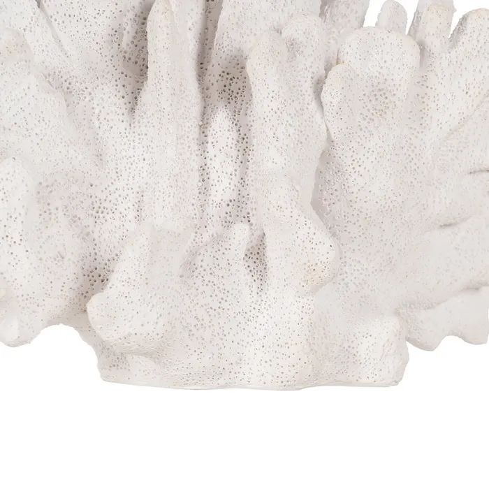 Figurina coral rasina alba contemporana|Decoratiuni marine naturale [5]