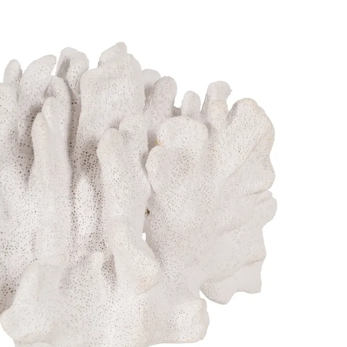Figurina coral rasina alba contemporana|Decoratiuni marine naturale [3]