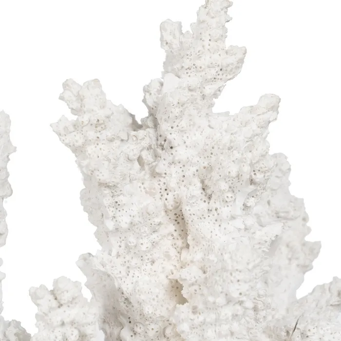 Figurina coral mare rasina alba|Decoratiuni marine rafinate [4]