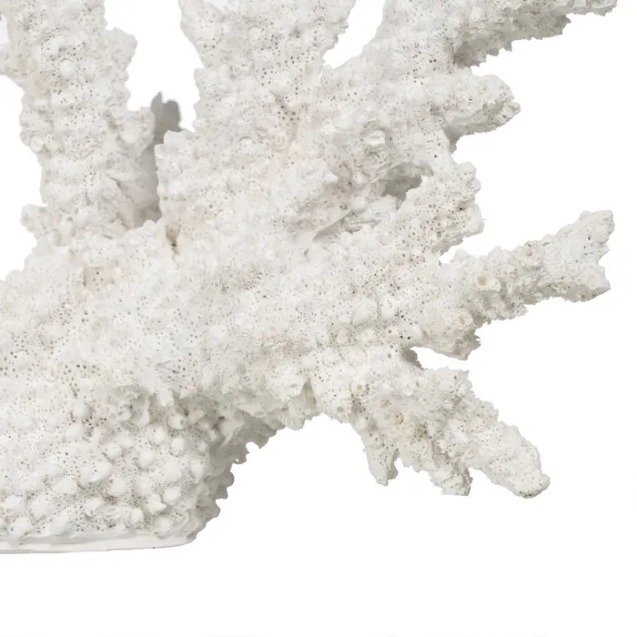 Figurina coral mare rasina alba|Decoratiuni marine rafinate [5]