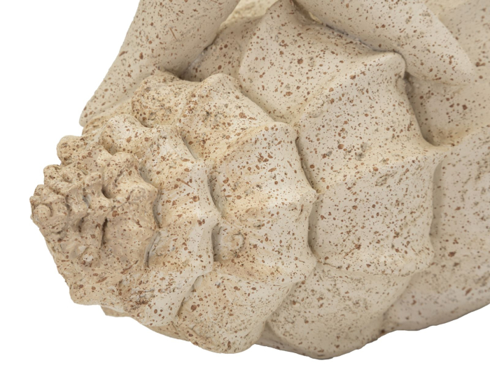 Figurina decorativa stea de mare si scoica bej cu efect nisip din polirasina [6]