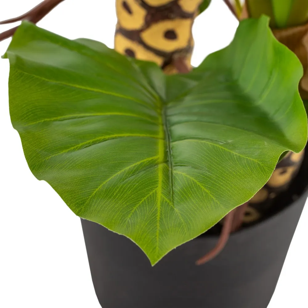 Filodendron Artificial in Ghiveci | Plante Artificiale de Interior [5]