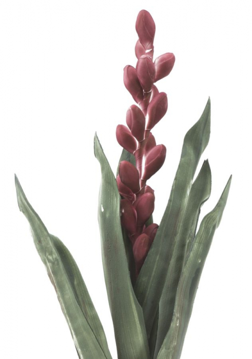 Floare Aloe rosie artificiala CreativDeco - Accent vibrant pentru interior [2]