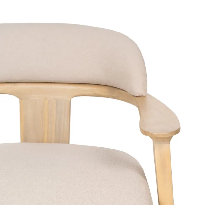 Fotoliu din lemn de teak modern pentru living|Fotolii din lemn pentru decoruri contemporane [5]