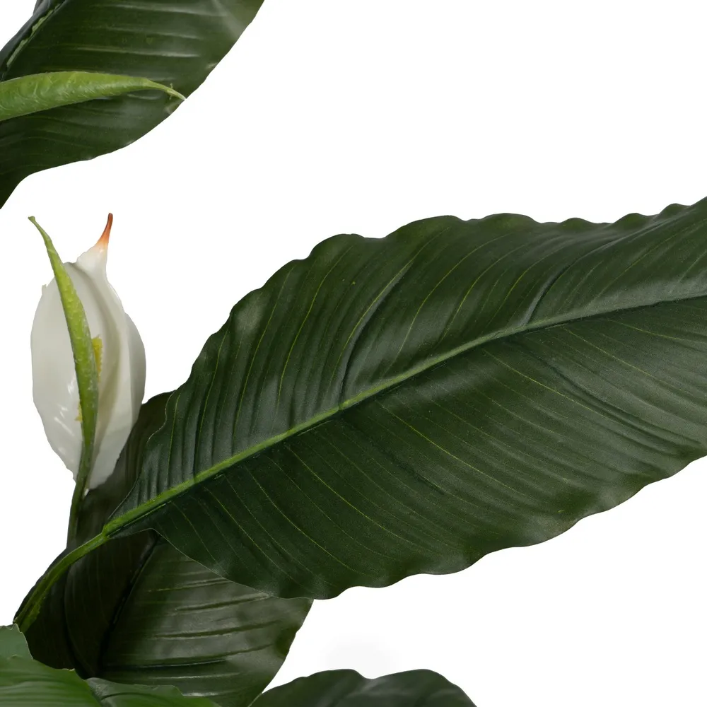 Ghiveci cu flori artificiale Spathiphyllum | Flori albe decorative [4]