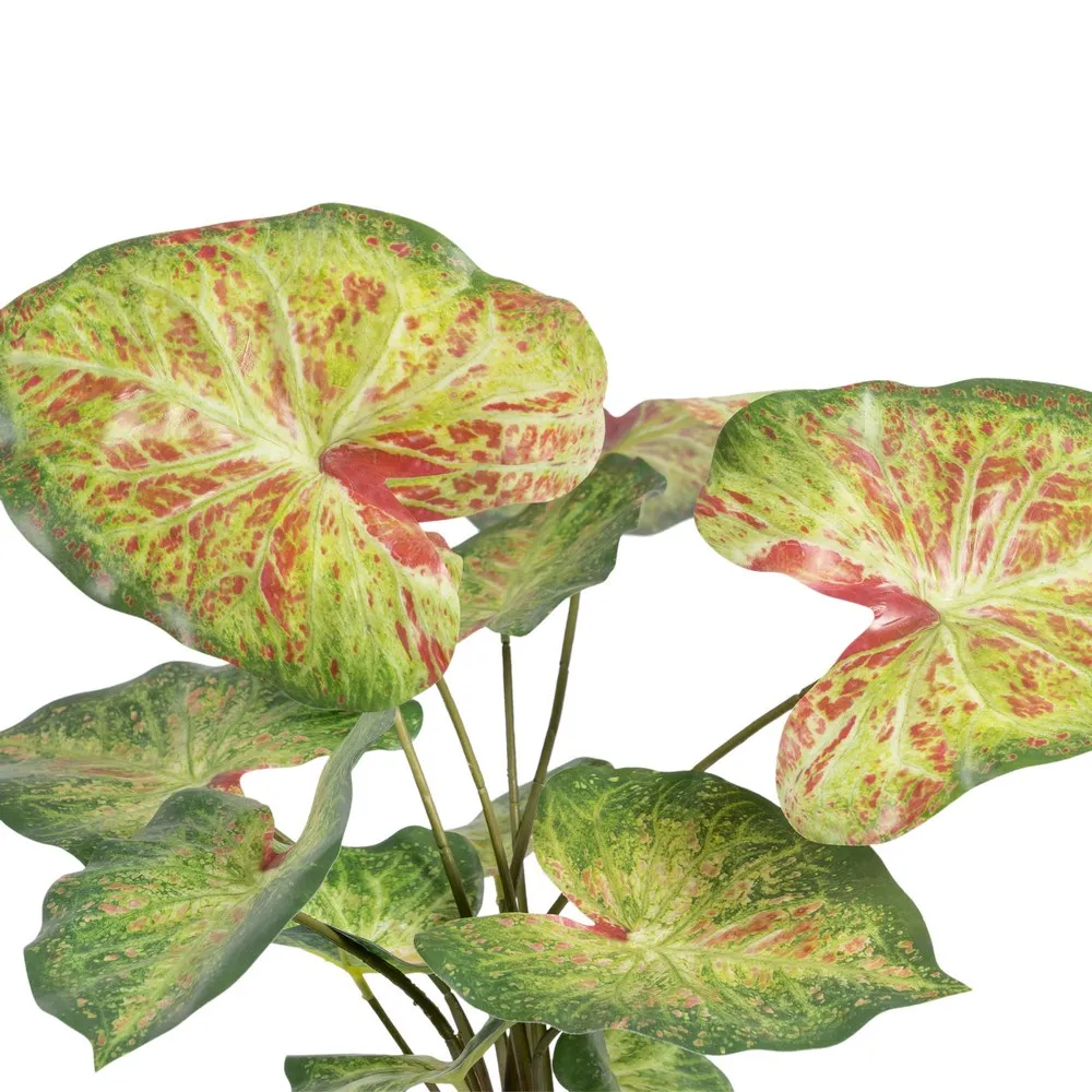 Planta Artificiala Caladium | Plante Artificiale Colorate [3]
