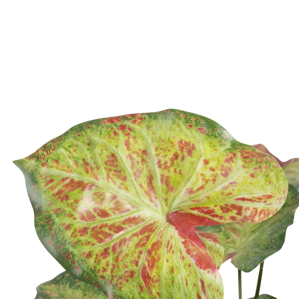 Planta Artificiala Caladium | Plante Artificiale Colorate [2]
