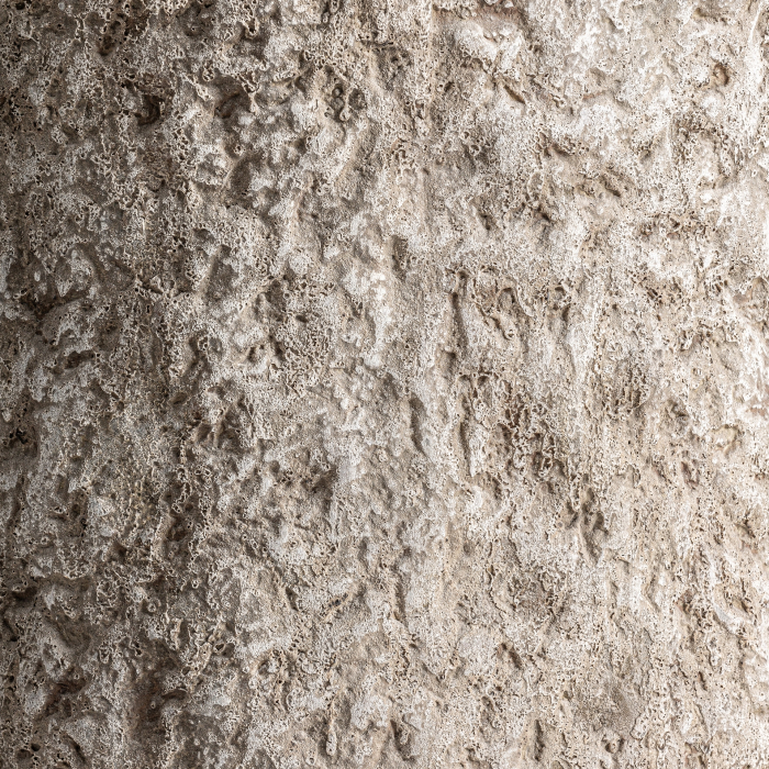 Cilindru înalt din beton alb murdar, cu suprafață crustată, plină de găuri mici și creste [3]