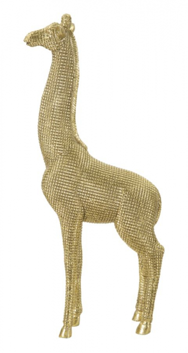 Girafa, rasina auriu [2]