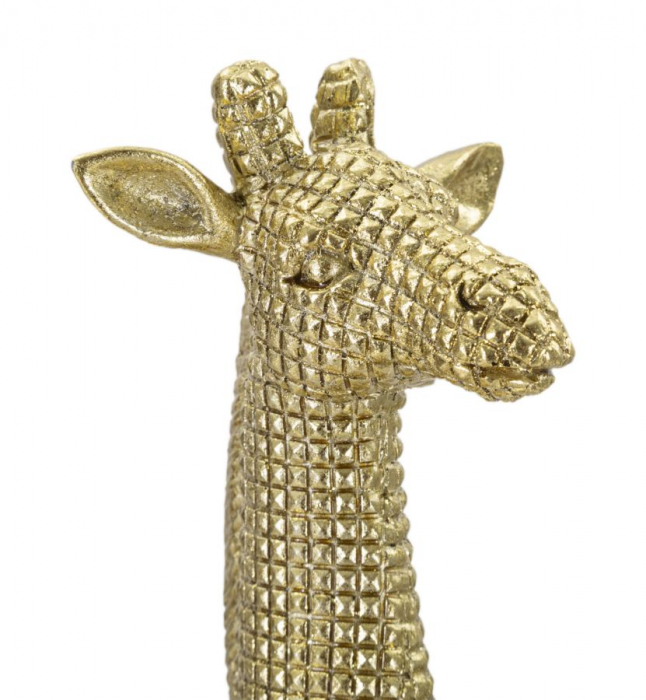 Girafa, rasina auriu [3]