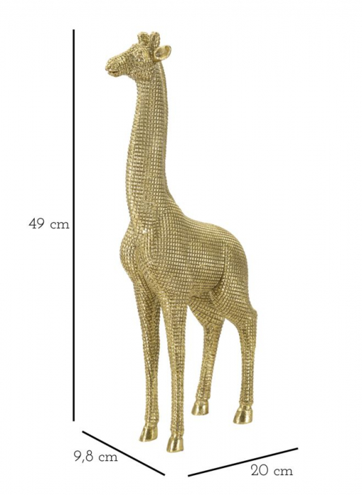 Girafa, rasina auriu [6]