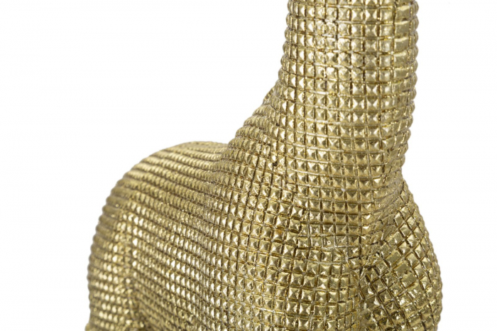 Girafa, rasina auriu [5]