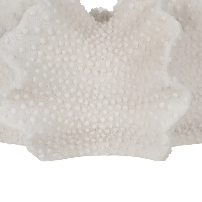 Lampa coral autentica|Lampi de masa pentru decoruri marine [4]