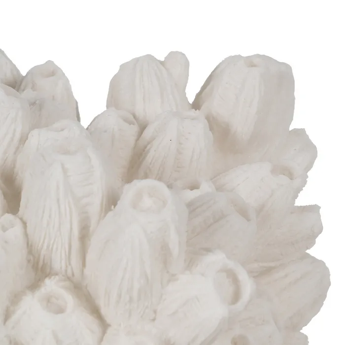 Lampa coral naturala|Lampi de masa pentru decoruri sculpturale [3]