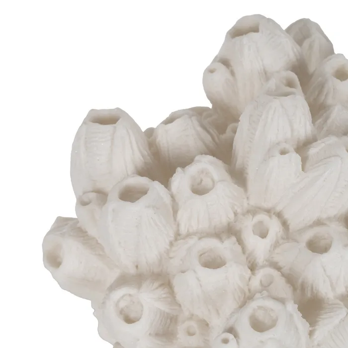 Lampa coral naturala|Lampi de masa pentru decoruri sculpturale [2]