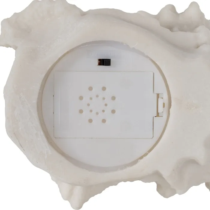 Set lămpi scoică marin|Iluminat ambiental elegant [5]