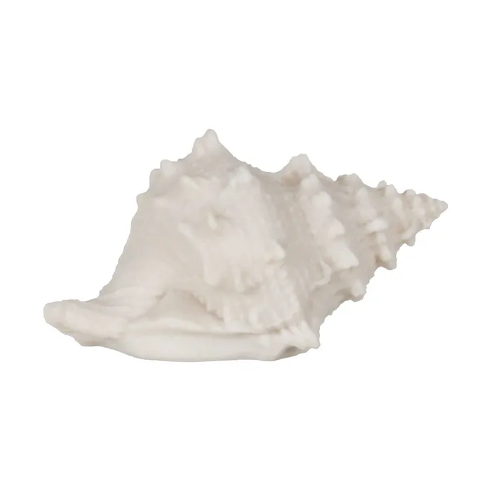 Set lămpi scoică marin|Iluminat ambiental elegant [1]