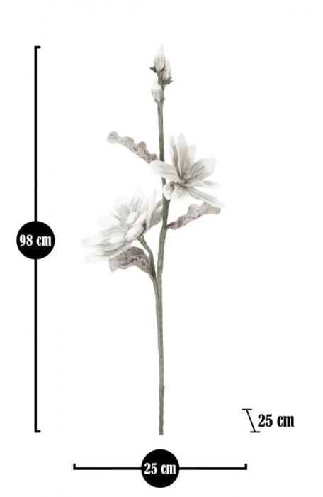 Magnolia gri cu boboci CreativDeco - Decoratiuni sofisticate pentru living [5]