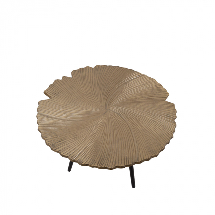Măsuța de cafea frunza aurie Leaf [2]