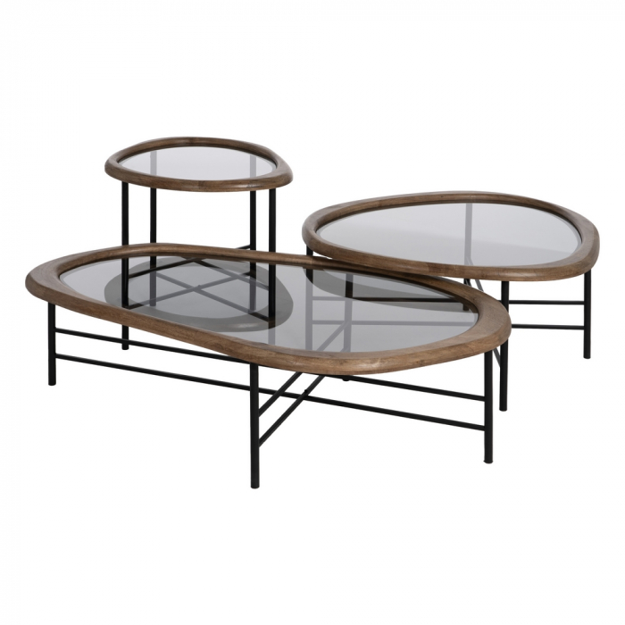 Masuta de Living cu Blat din Sticla CreativDeco - Mobilier Modern și Funcțional [2]