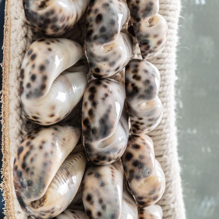 Oglinda rotunda scoici|Oglinzi decorative scandinave [3]