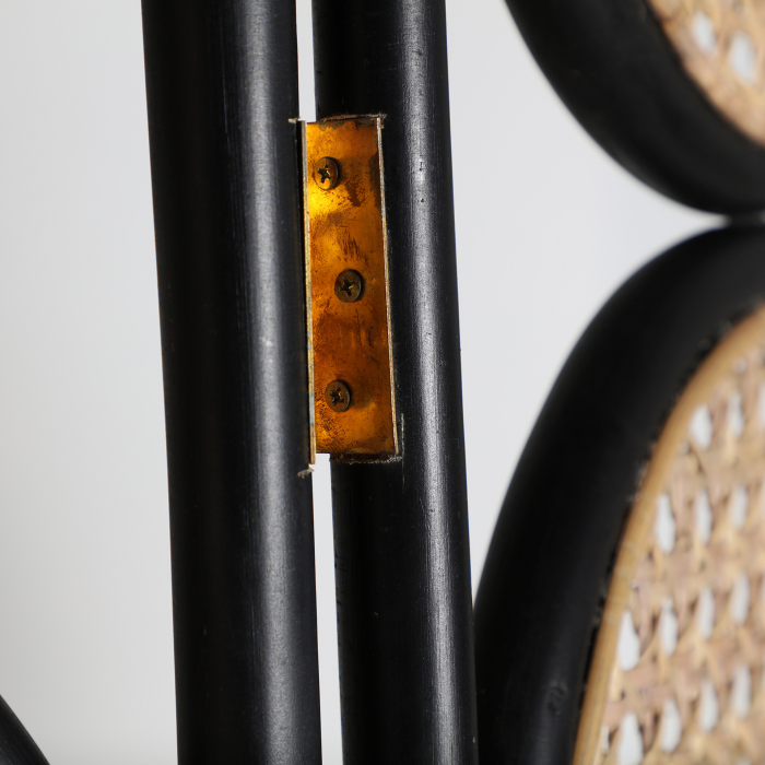 Paravan ratan negru si natural|Mobilier contemporan versatil [5]