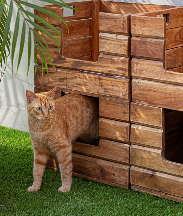 Pat pentru animale din lemn de mahon maro cu design artizanal [3]