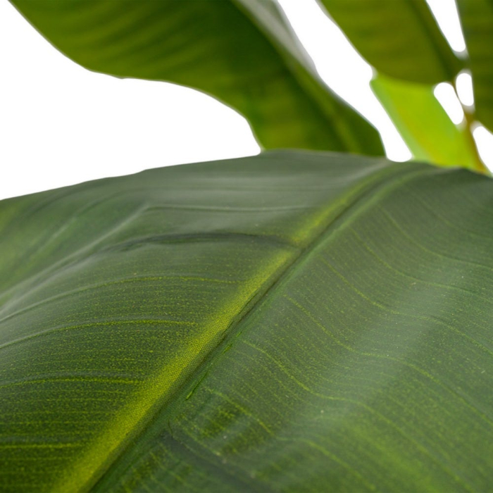 Plantă artificială Banana Leaf cu frunze mari și ghiveci negru [4]