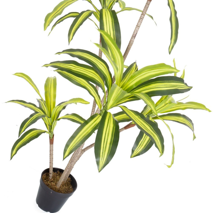 Plantă artificială Dracena pentru exterior cu frunze dungate [3]