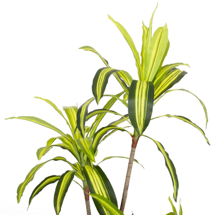 Plantă artificială Dracena pentru exterior cu frunze dungate [4]