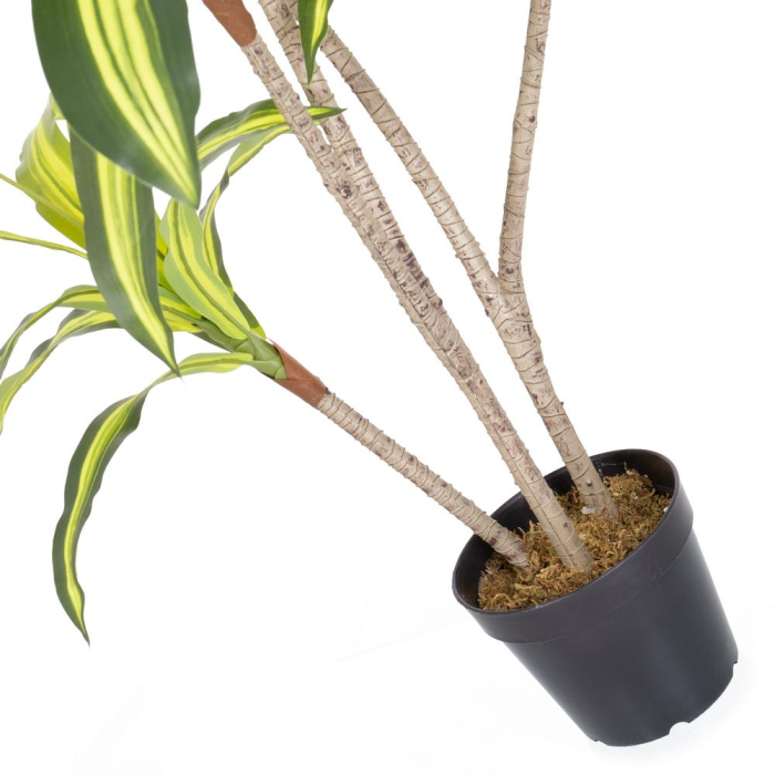 Plantă artificială Dracena pentru exterior cu frunze dungate [5]