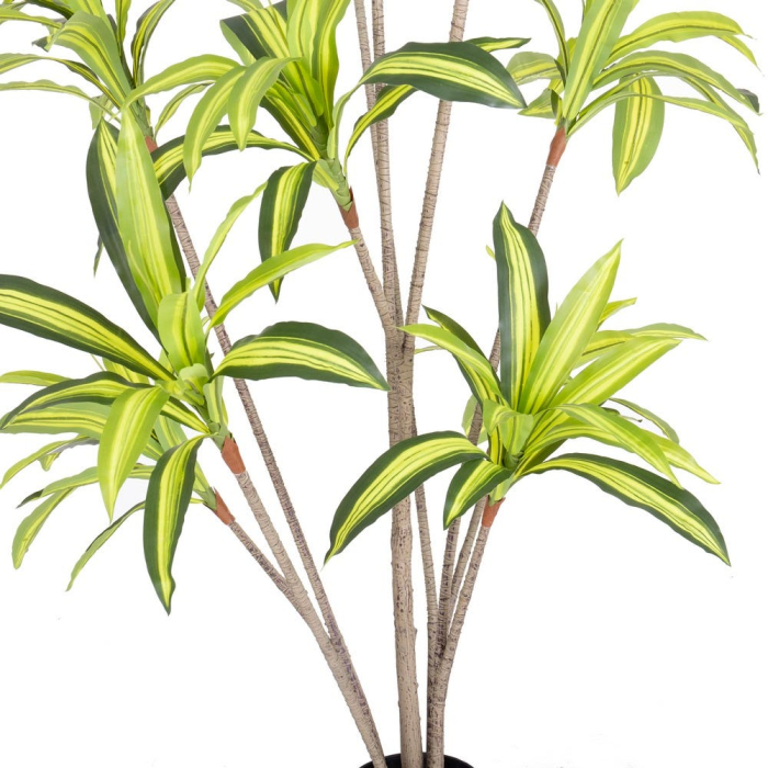 Plantă artificială Dracena pentru exterior cu tulpini înalte [3]