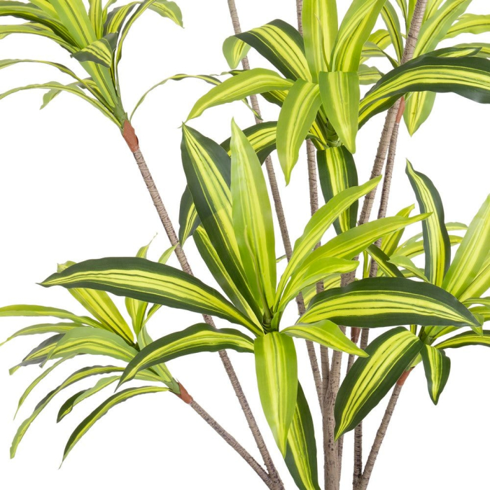 Plantă artificială Dracena pentru exterior cu tulpini înalte [7]