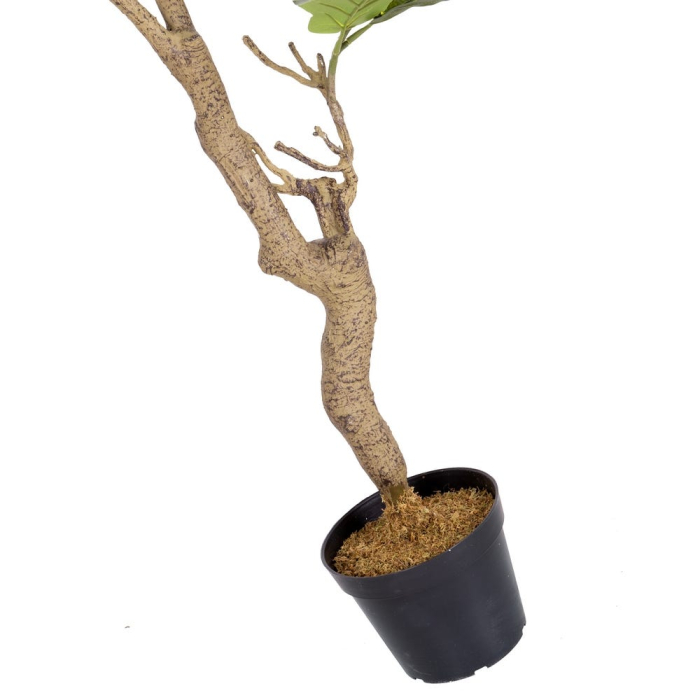 Plantă artificială Ficus pentru exterior cu trunchi înalt [6]