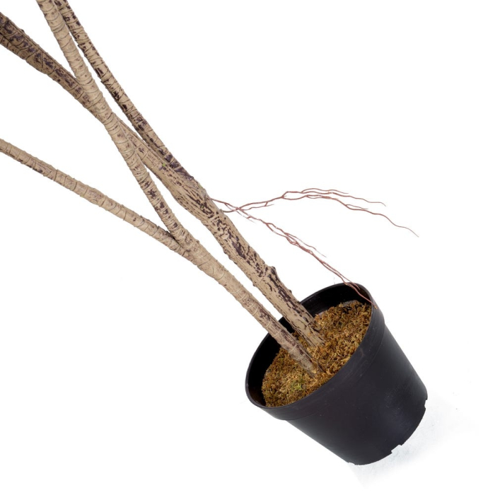 Plantă artificială Monstera pentru exterior cu tulpini înalte [6]