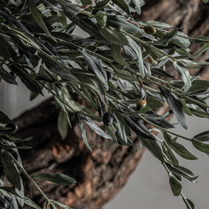 Plantă decorativă artificială tip măslin, 240 cm [6]