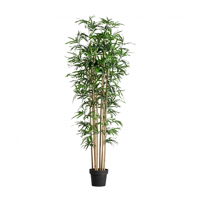 Planta decorativa bambus | Plante artificiale orientale [1]