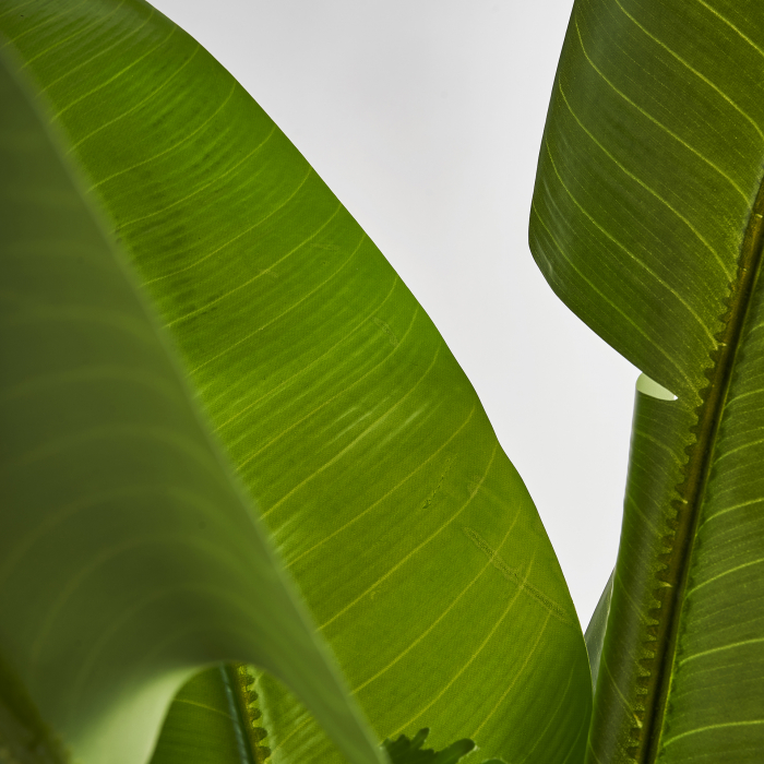 Planta decorativa bananier | Plante artificiale tropicale [4]