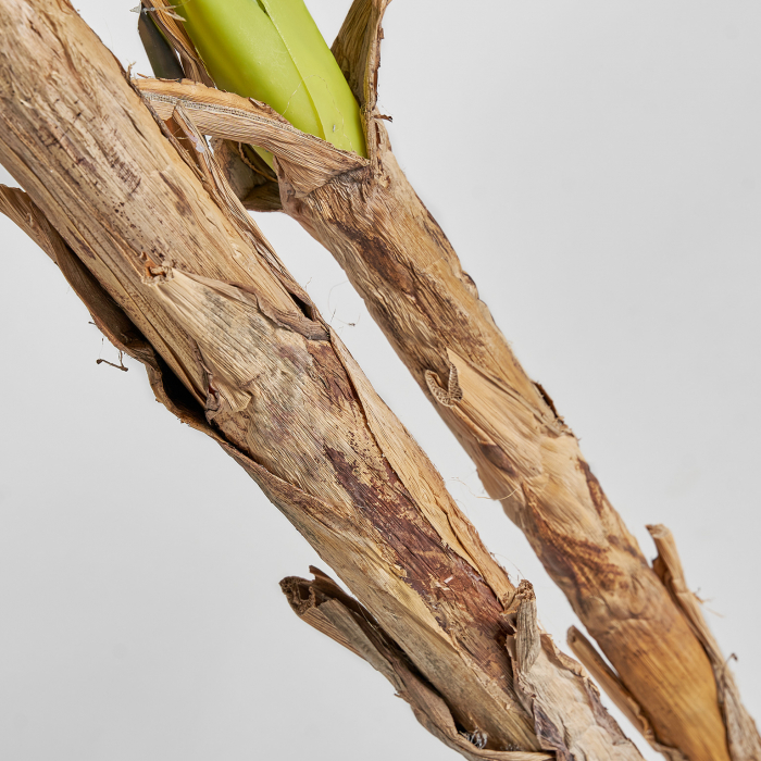 Planta decorativa bananier | Plante artificiale vintage [4]