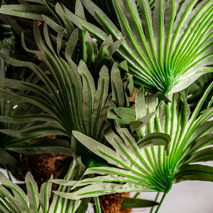 Planta decorativa feriga | Plante artificiale tropicale [2]