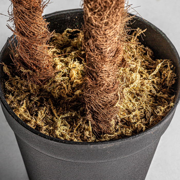 Planta decorativa feriga | Plante artificiale tropicale [4]