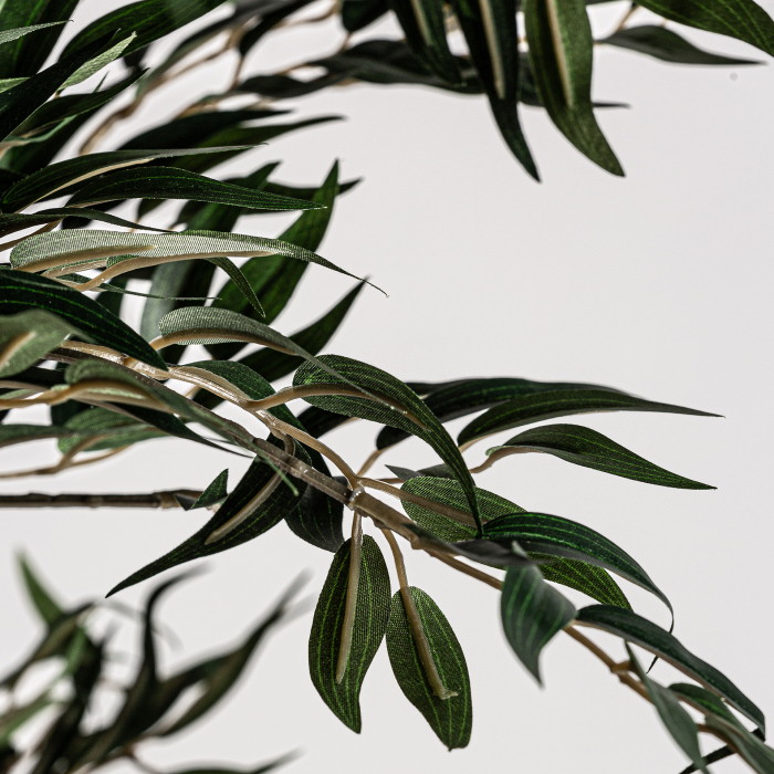 Planta decorativa feriga | Plante artificiale vintage [4]
