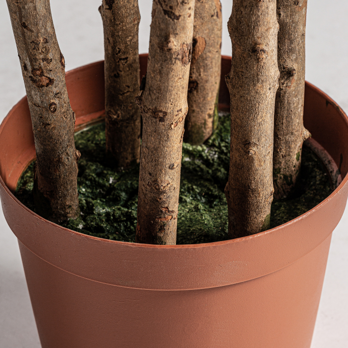 Planta decorativa feriga | Plante artificiale vintage [2]